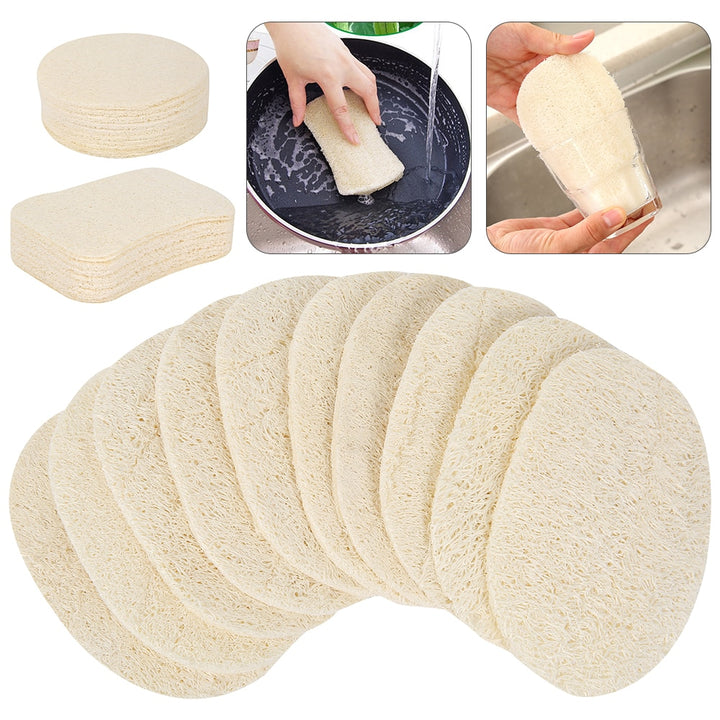 5Pcs Natural Loofah Dish Washing Sponge